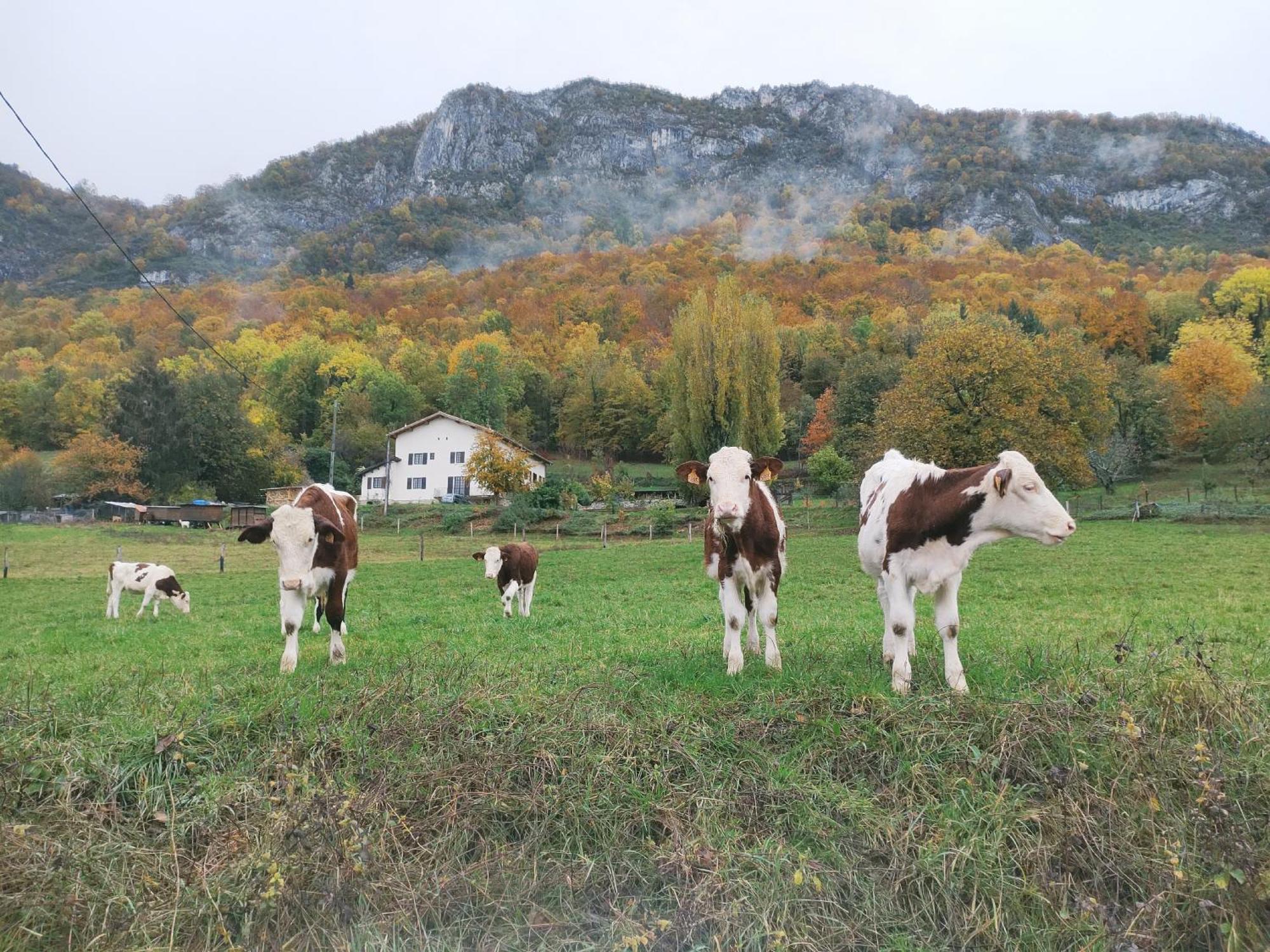 Les Deux Sources Hotel Saint-Laurent-en-Royans Luaran gambar